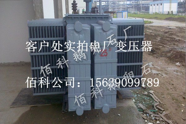 客戶想要購買齊全的水處理鵝卵石到哪里去？