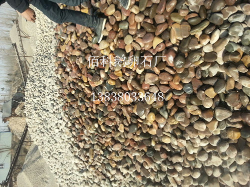 近段鵝卵石價格怎樣？