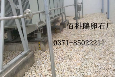 電力公司、電廠變壓器專用鵝卵石價(jià)格是多少錢一噸？