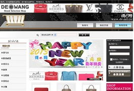 專業(yè)網(wǎng)站建設(shè)案例分享 上海萬腦網(wǎng)絡(luò)的網(wǎng)站開發(fā)服務(wù)